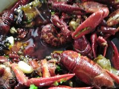 -霸王虾·麻辣小龙虾(清水河公园店)