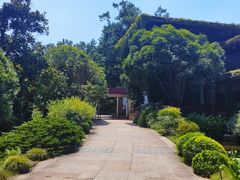 -中国茶叶博物馆(双峰馆区)