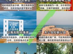-日照海滨国家森林公园