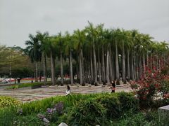 -深圳国际园林花卉博览园