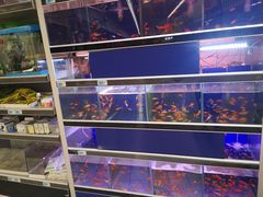 -大润发(王庄店)