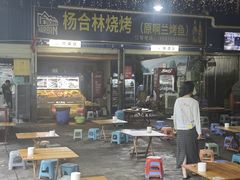 -杨合林啊兰烤鱼