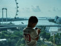 -新加坡文华东方酒店