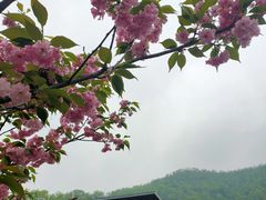 -桃花岭景区