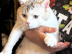 -云端咖啡私房店(河松街店)