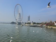 -蠡湖大桥公园