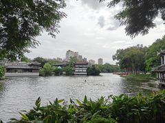 -荔湾湖公园