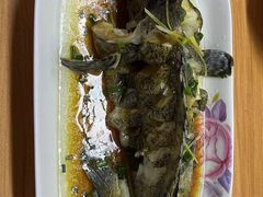 -天鹅到家·保姆月嫂育儿嫂(天河店)