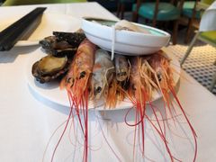 -五月罗马海鲜自助餐厅(陆家嘴店)