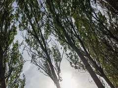 -东郊湿地公园