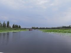 -白洋淀景区