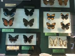 -上海昆虫博物馆