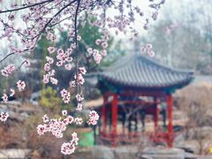 -安定门(地铁站)