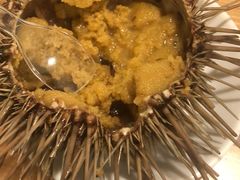 -海胆小馆(东北水饺·春柳店)