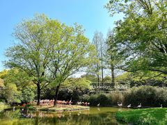 -上海野生动物园