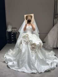 -MuseMarry婚纱(前海嘉里中心店)