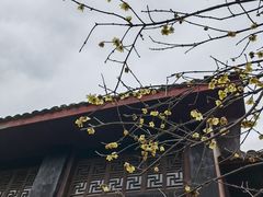 -峨眉山报国寺