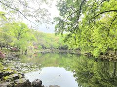 -灵谷景区
