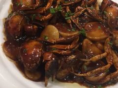 -老人和饭店(打浦路店)