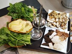 -蘑统田下·野生菌火锅