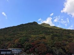 -龙道沟景区