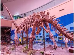 -陕西自然博物馆