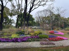 -云溪植物园