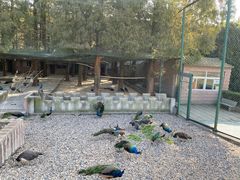 -南京金牛湖风景区