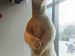 -魏客咖啡(中铁中心店)