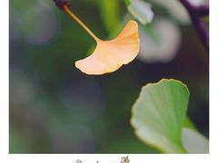 -苏州河梦清园环保主题公园