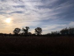 -东郊湿地公园
