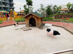 -造物庄园 萌宠纪(苏州湾歌林公园店)