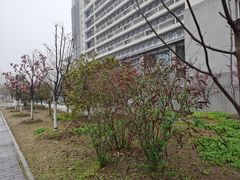 -江南大学(蠡湖校区)