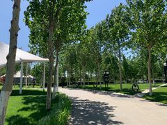 -九十九顶毡房(阜石路店)