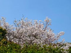 -同里国家湿地公园