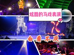 -广州长隆国际大马戏