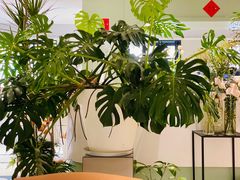 -一尺花园(安和花园店)