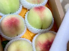 -老袁家蜜桃农场·阳山水蜜桃