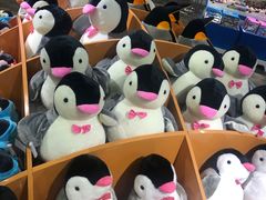 -成都浩海立方海洋公园