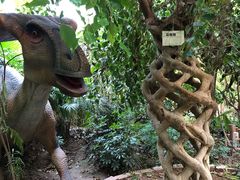 -呀路古热带植物园