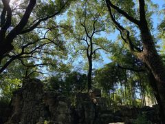 -天一阁博物院