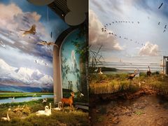 -中国湿地博物馆