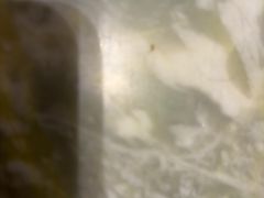 -六月雪干锅(绵阳凯德广场店)