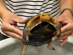 -九忠祥小笼馆(保利时光里店)