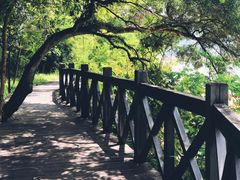 -广州市流溪河国家森林公园