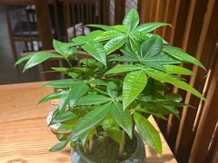 -火候轩品质湘菜·私厨(市府店)