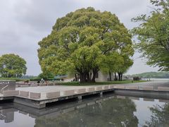 -上海月湖雕塑公园