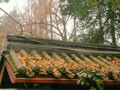 -南街杨记·麻辣烫