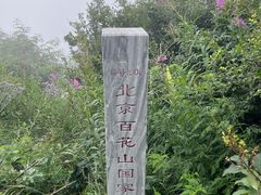 -白草畔自然风景区