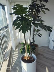 -HEYAN荷妍专业脱毛连锁机构